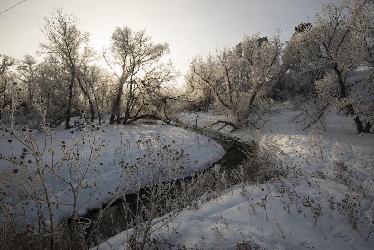 Larabee Creek in Sheridan County
